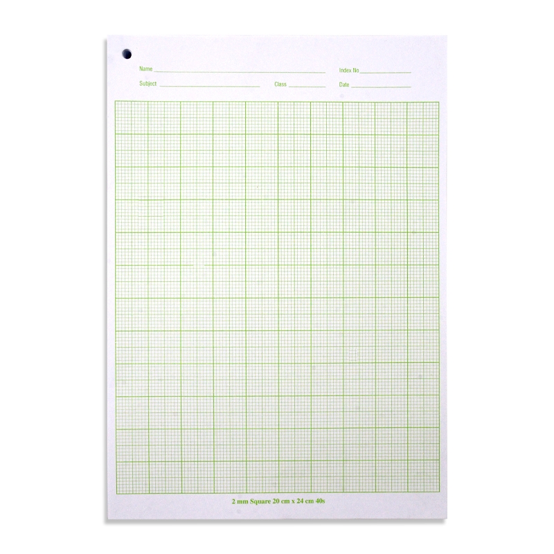 2891L Graph Paper 20x24cm A4 500 s