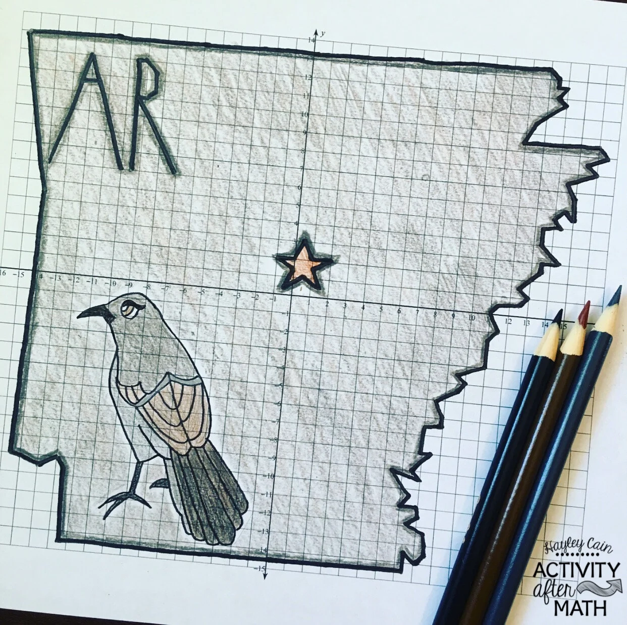 Arkansas Coordinate Graphing Picture 1st Quadrant ALL 4 Quadrants Activity After Math