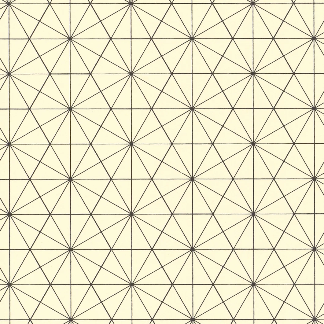 Black Bisected Hexagon Graph Paper Kayrock Screenprinting