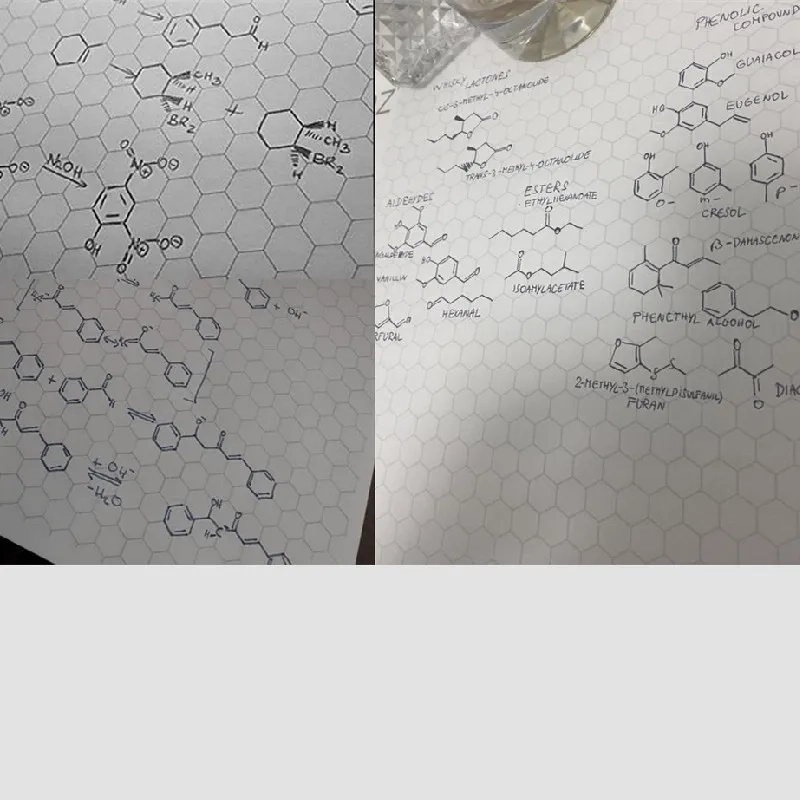 Graph Ruled Spiral Notebook Hexagonal Organic Bio Chemistry Composition Notebook From Homepro12 38 78 DHgate Com