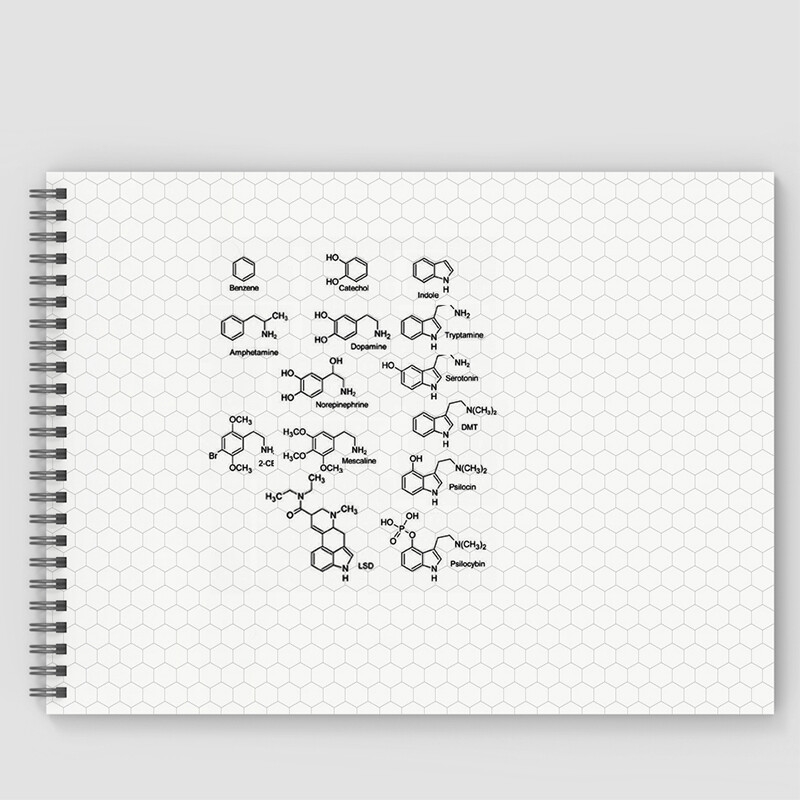 Hexagonal Graph Rule Paper Notebook Graph Notebooke Chemistry Notes And Practice EBay