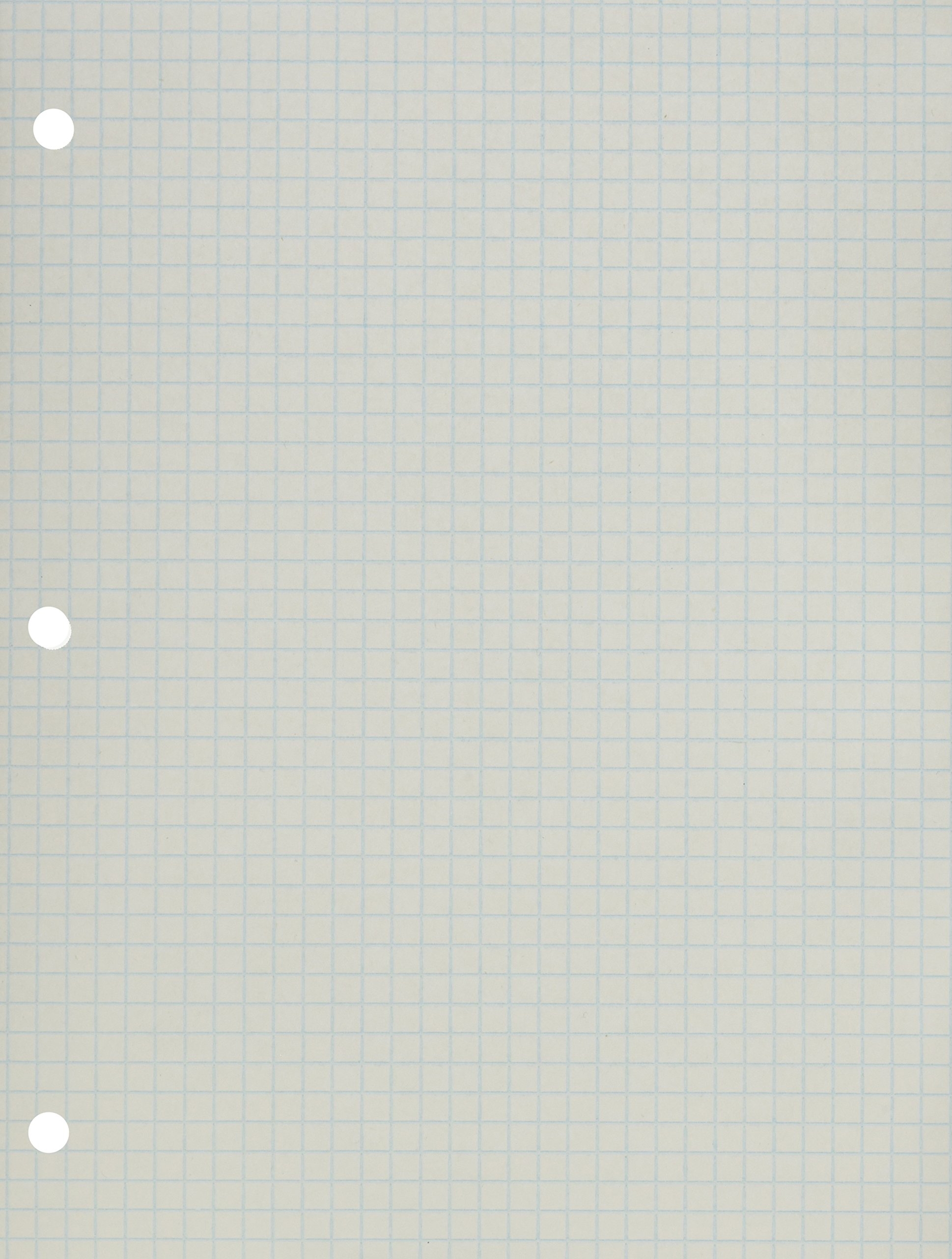 School Smart 86667 Double Sided Grid Paper 3 Hole Punched 8 1 2 X 11 Inches 1 EBay